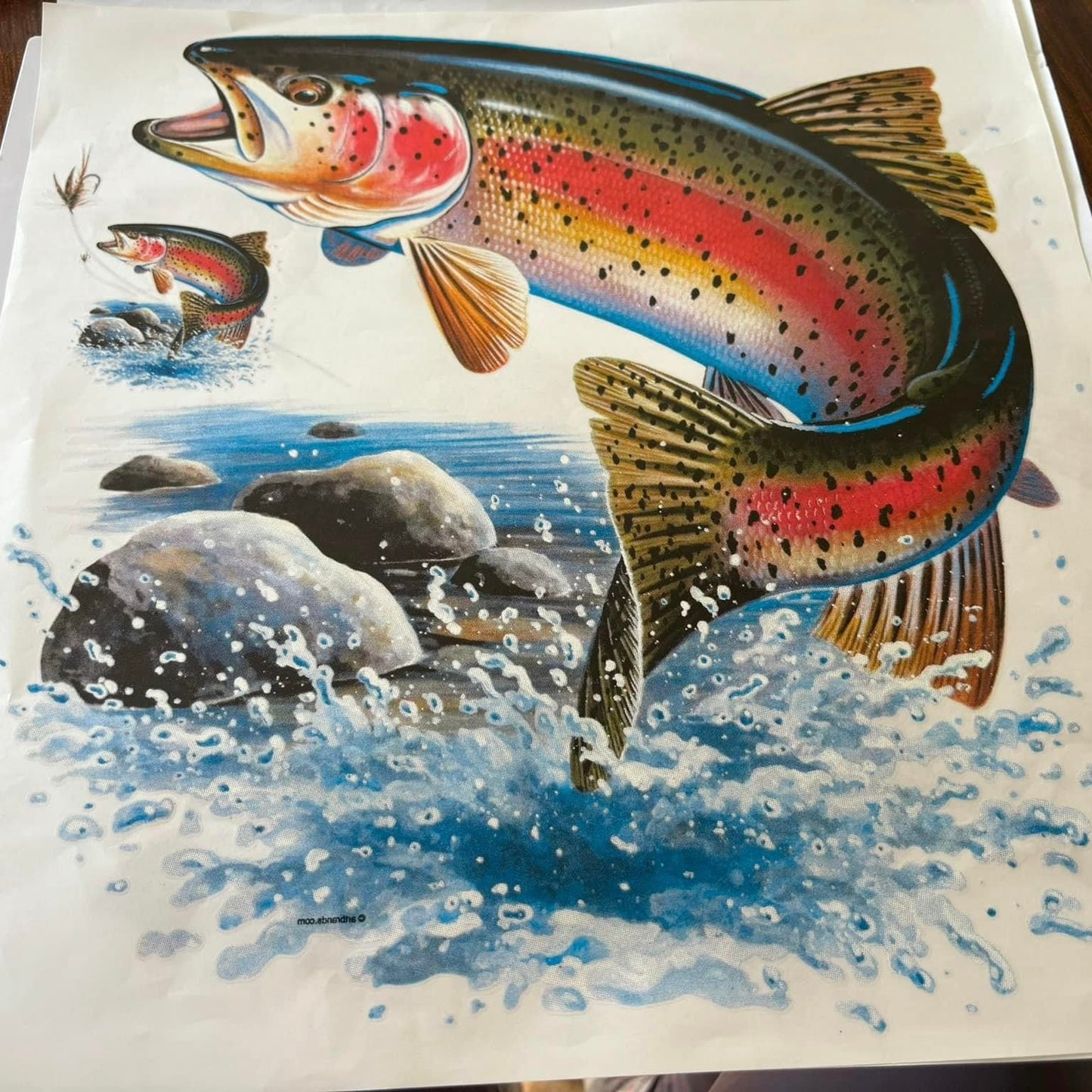 Fish XL+ T-Shirt Transfer